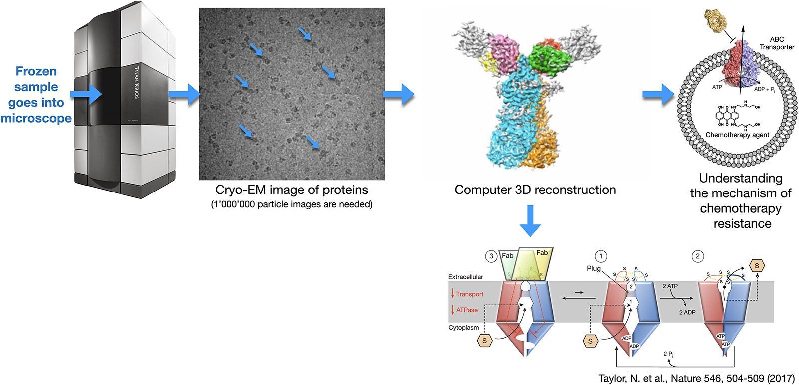 Electron Microscopy | LBEM