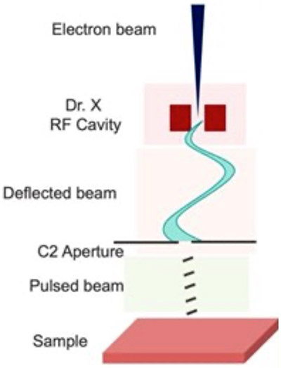 Benchmarking pulsed vs continuous electron illumination for imaging dose-sensitive biological specimens Benchmarking pulsed vs continuous electron illumination for imaging dose-sensitive biological specimens