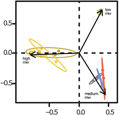 Deconvolving the structural heterogeneity of alpha-Synuclein in vitro and in situ Deconvolving the structural heterogeneity of alpha-Synuclein in vitro and in situ